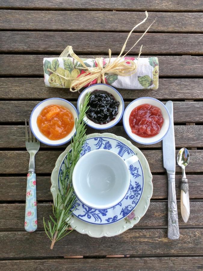 Quai Des Fleurs Bed and Breakfast Saint-Savinien Εξωτερικό φωτογραφία