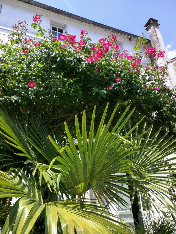 Quai Des Fleurs Bed and Breakfast Saint-Savinien Εξωτερικό φωτογραφία
